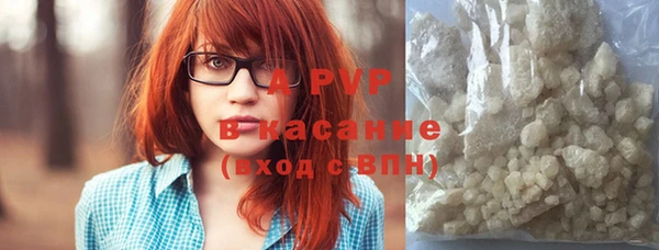 сатива Абаза