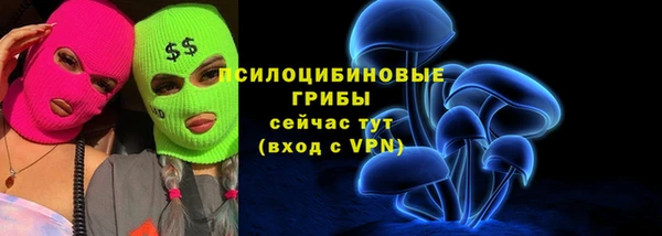 крисы Абдулино