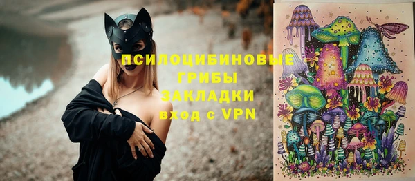 крисы Абдулино